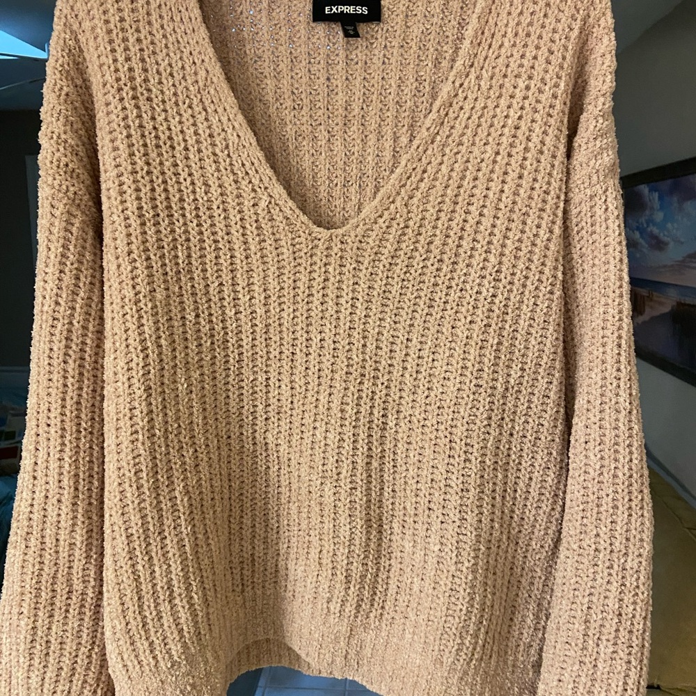 Express Women's V-Neck Sweater in Blush
